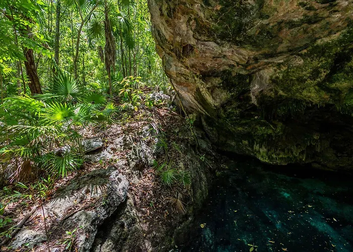 Mayakoba Paradise Pool Jacuzzis & Cenote Access